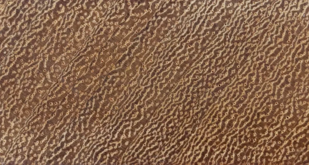 maderas tropicales testa madera iroko antibacteriana