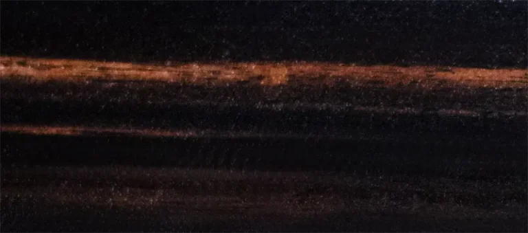 madera de ébano makassar