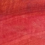 madera de marfil rosa o pink ivory madera de áfrica